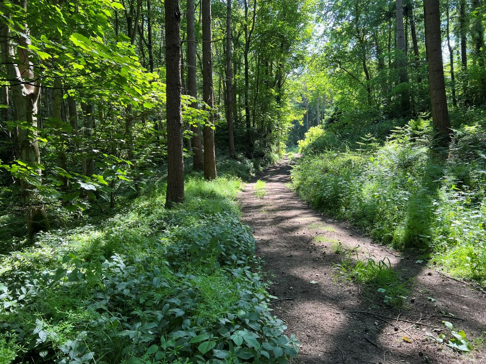 Shared Access track.