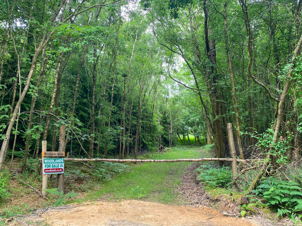 The ride stop entrance, with internal private track into the wood