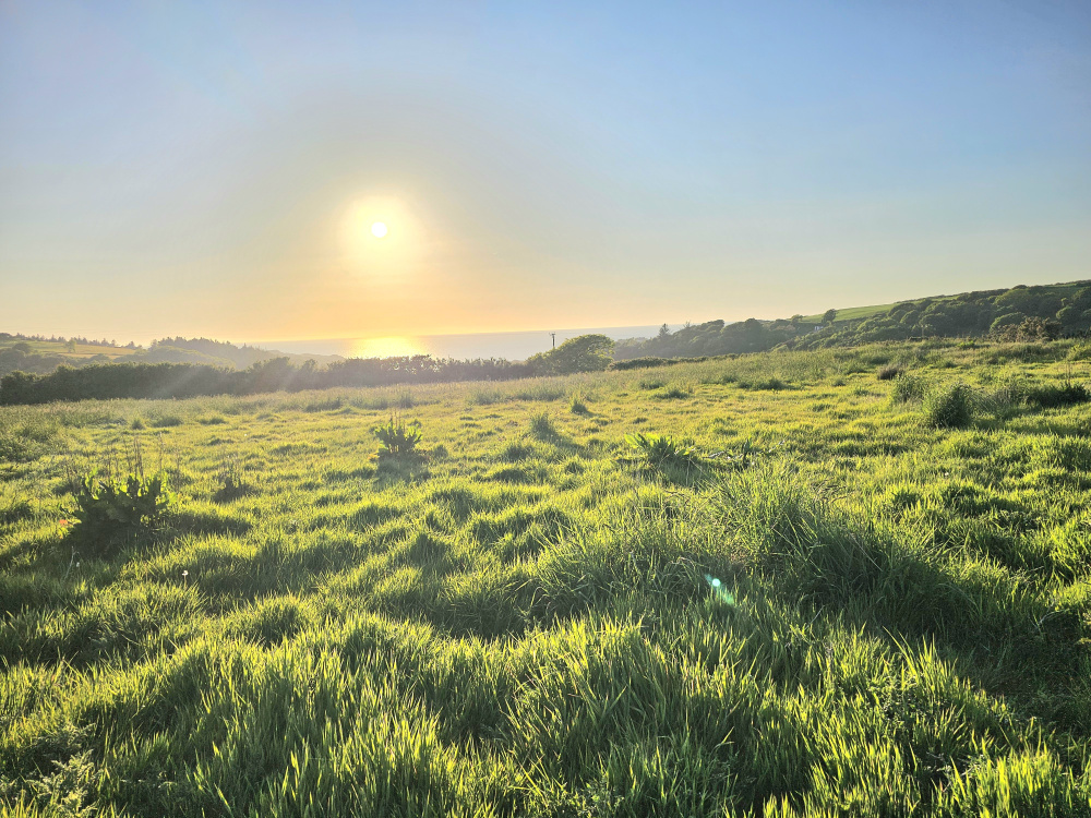 Sea views. The evening sunset over Lee Bay