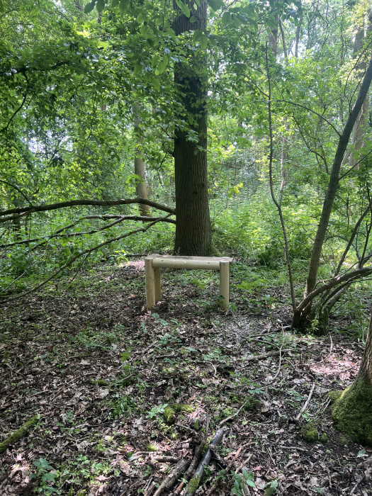 Bench in the woods. 