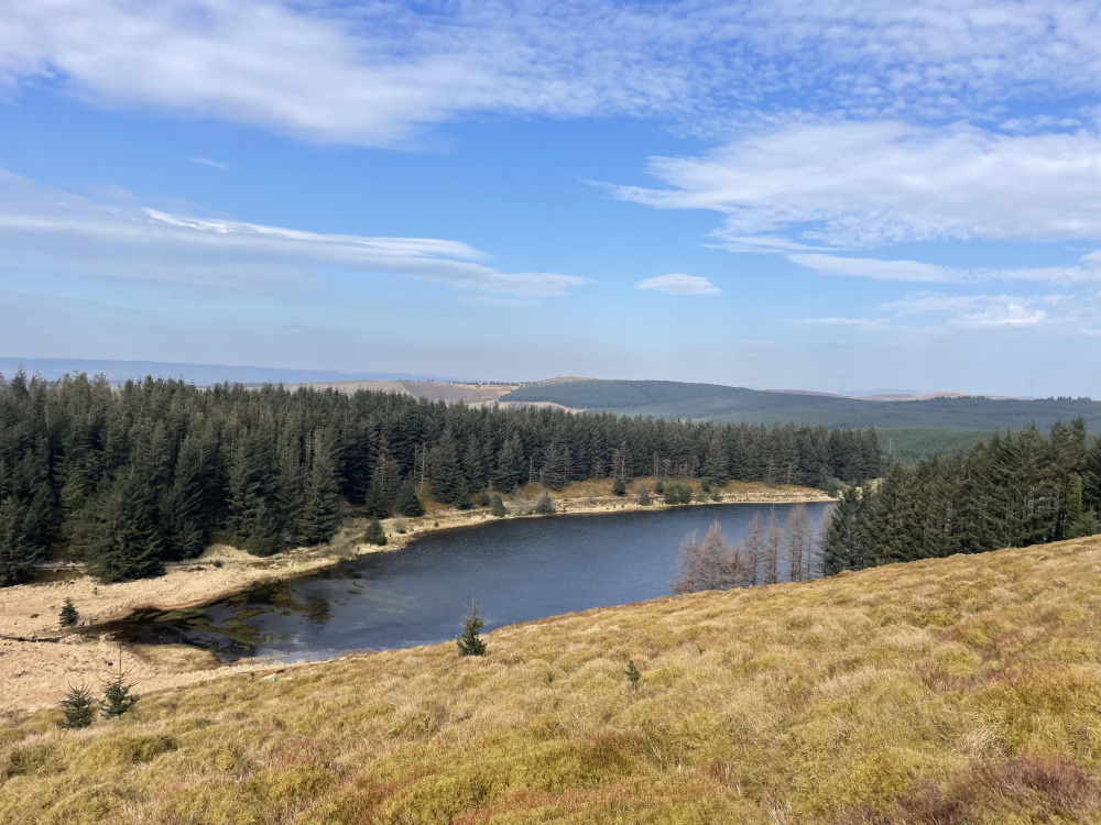 View out from about 450m, close to the cairn of Bryn Mawr. 