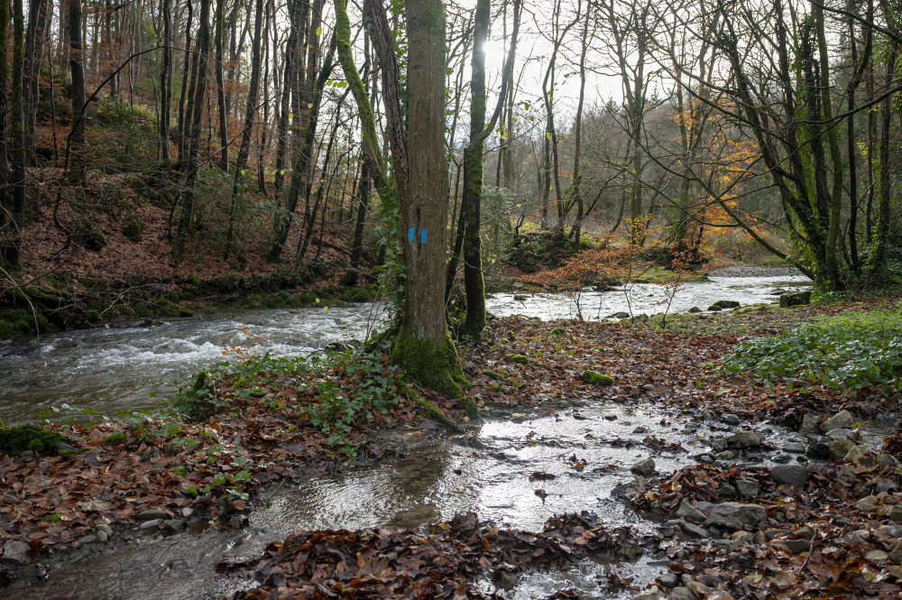 Access to the Nant Alyn river from the road 