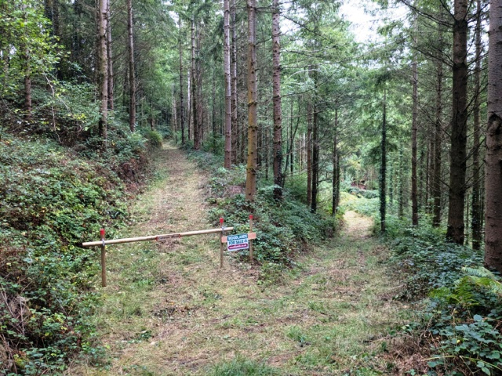 Looking down the track to the entrance