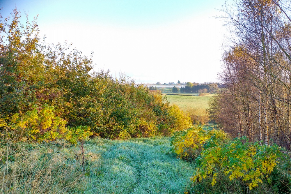 The way down to the river