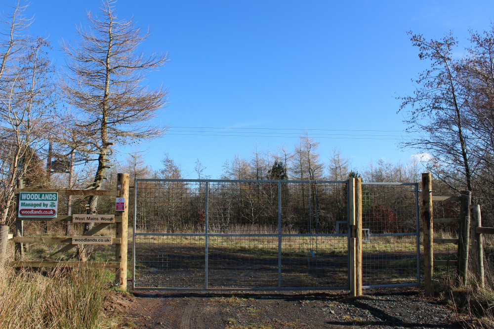 Main entrance through deer gate