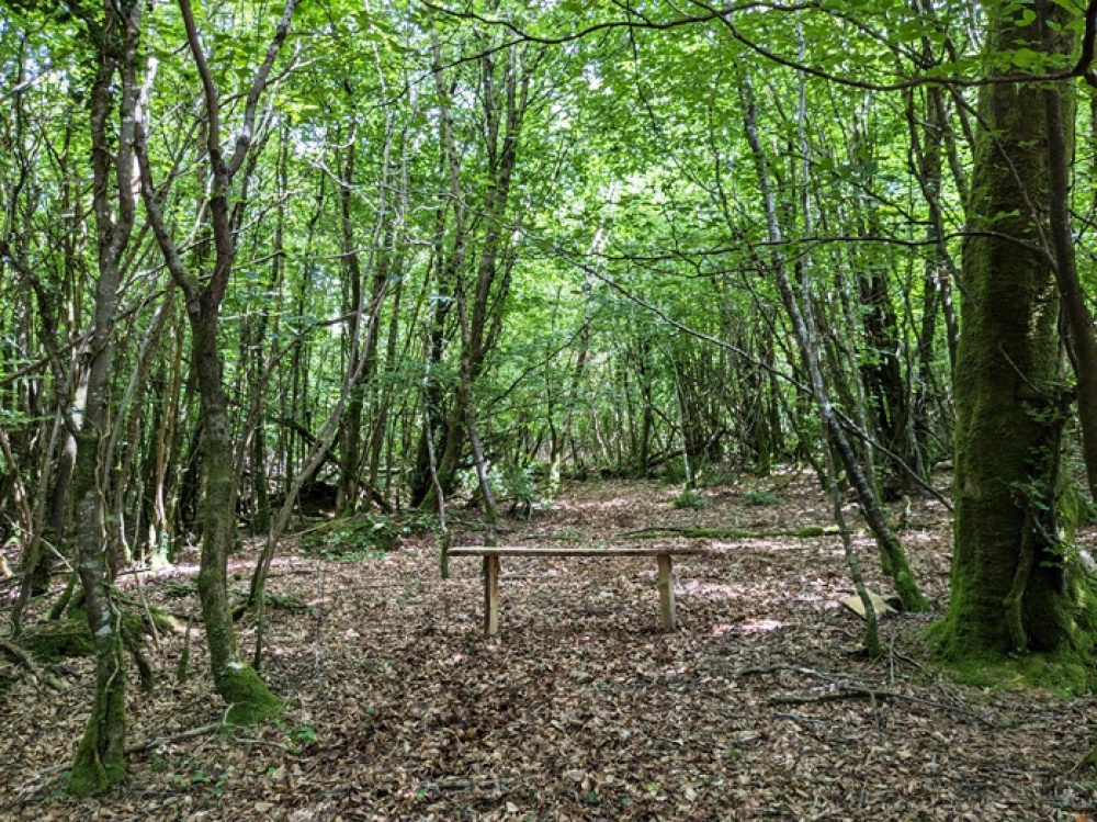Rustic bench to sit an enjoy the peace