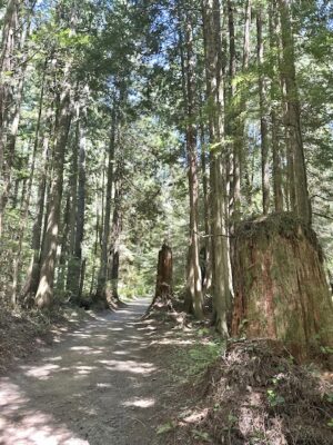 Make Americans Green Again