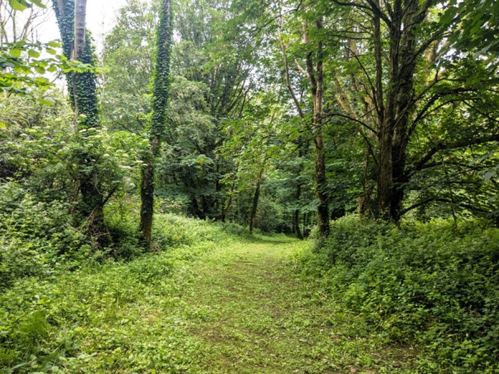 There is a good 4x4 access track through the woodland