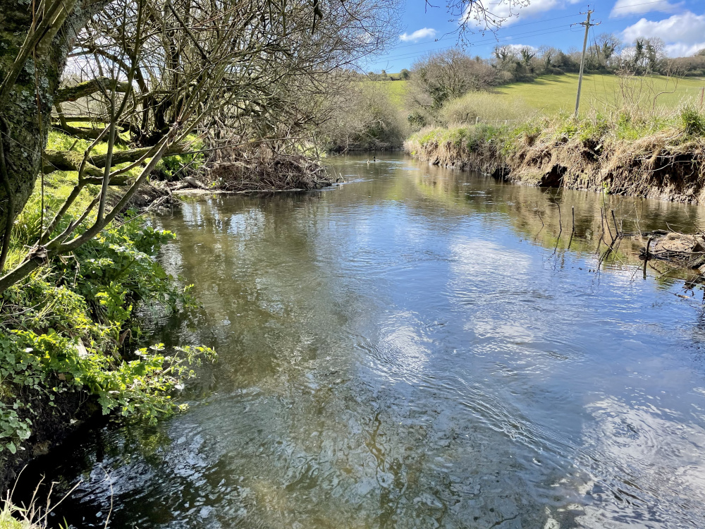 The meadow benefits from frontage on to the River Frome