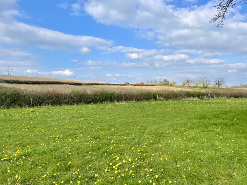 Blue skies over Mayflower Meadow