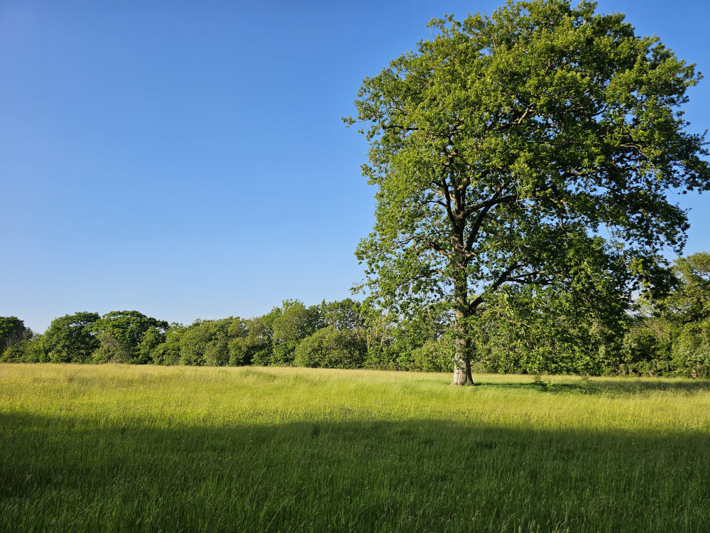Such a quiet and peaceful place to be