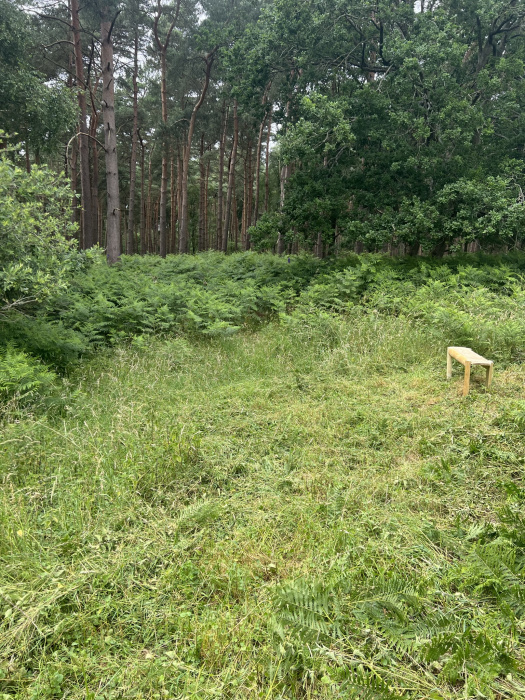 Bench with view over pond.