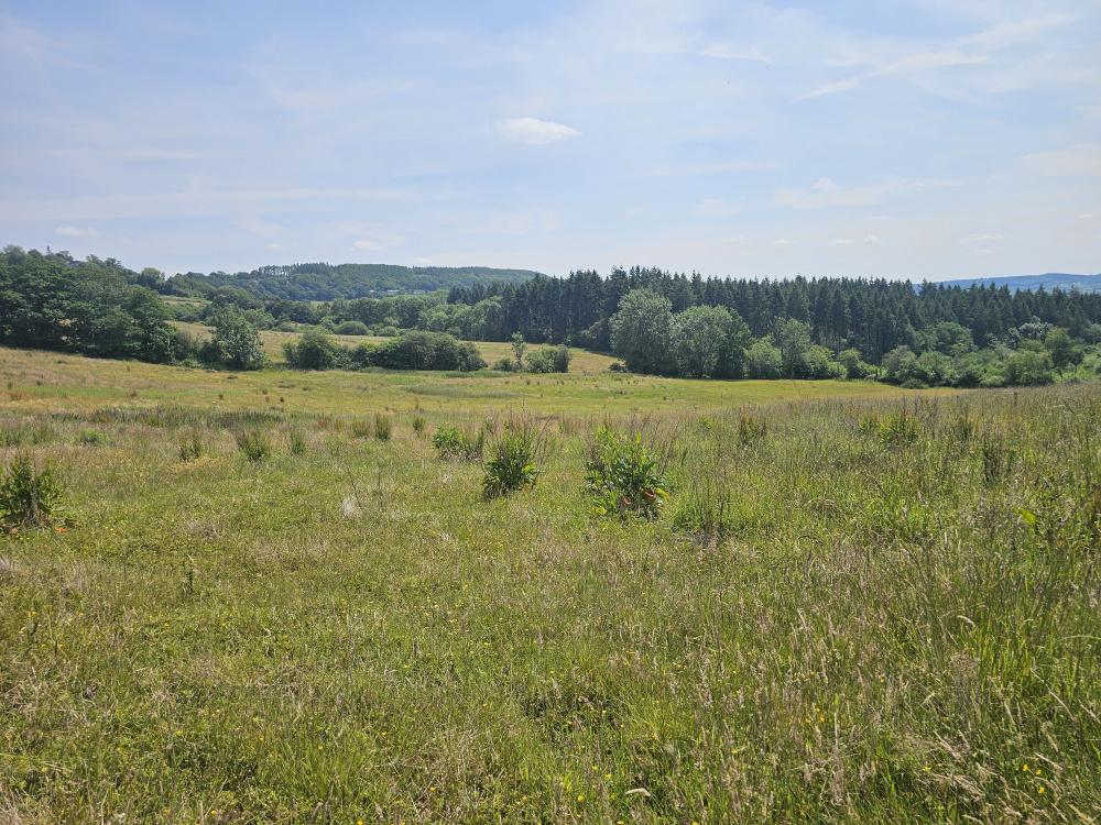 An outstanding southeast-facing view unfolds across the meadow from the parking area