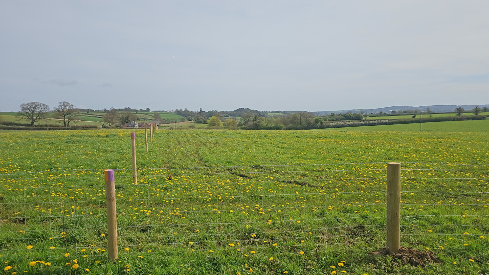 Looking across the north west corner