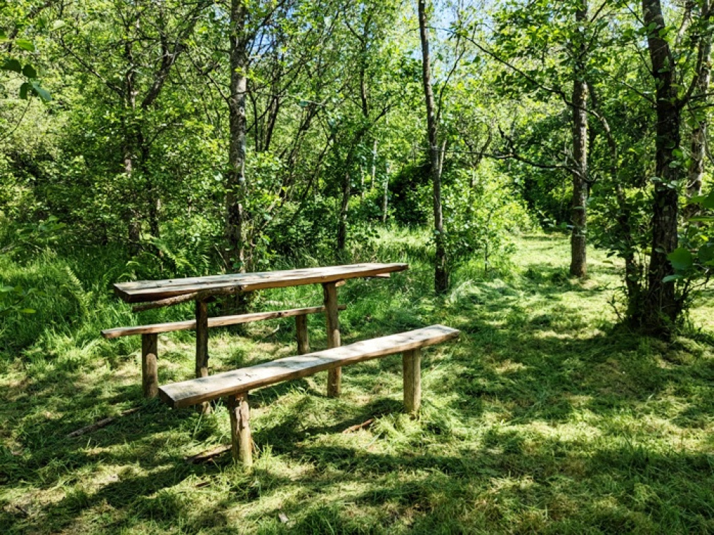 Clearing with a picnic table to enjoy the peace and quiet