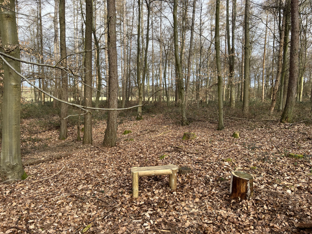 Bench with view of the field.