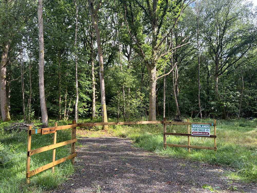 The ride-stop entrance