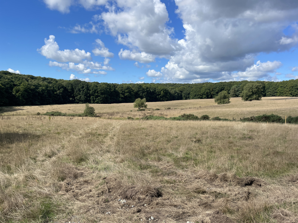 The meadow has fantastic views