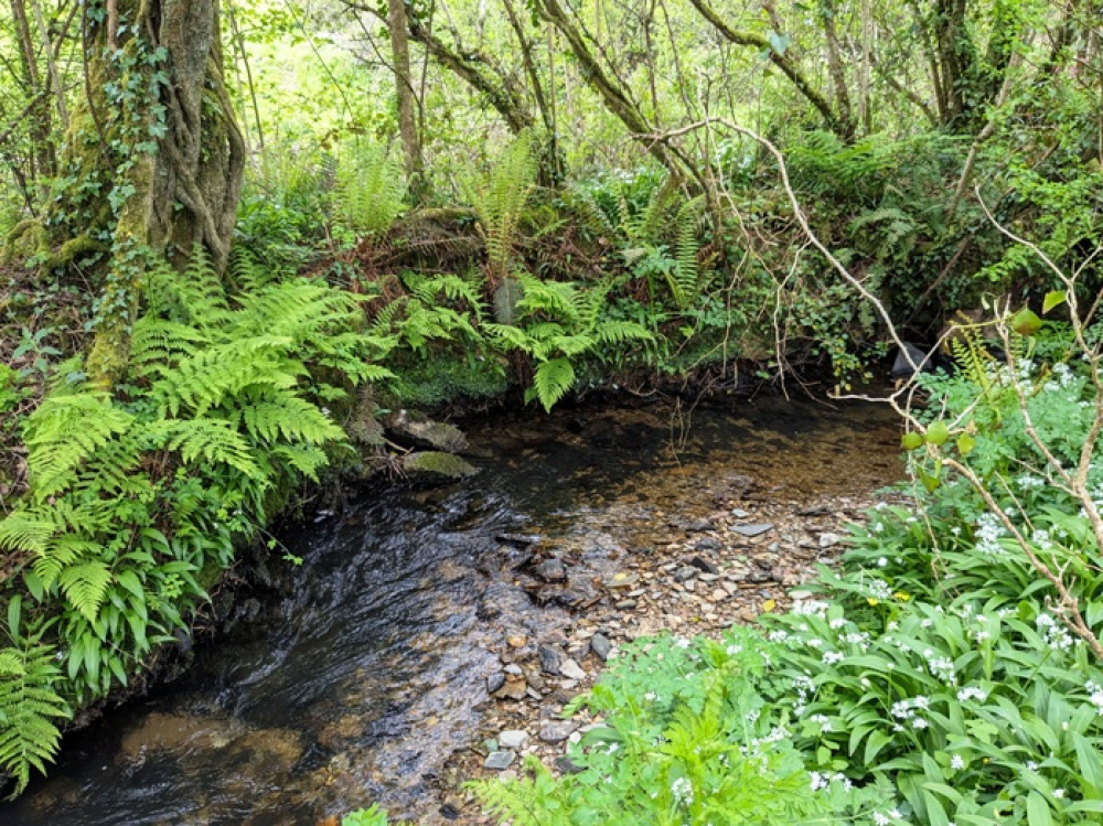 Fast flowing watercourse