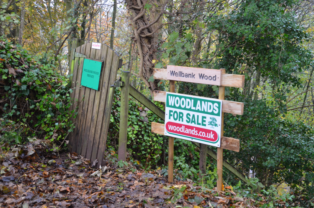 Entrance to the wood