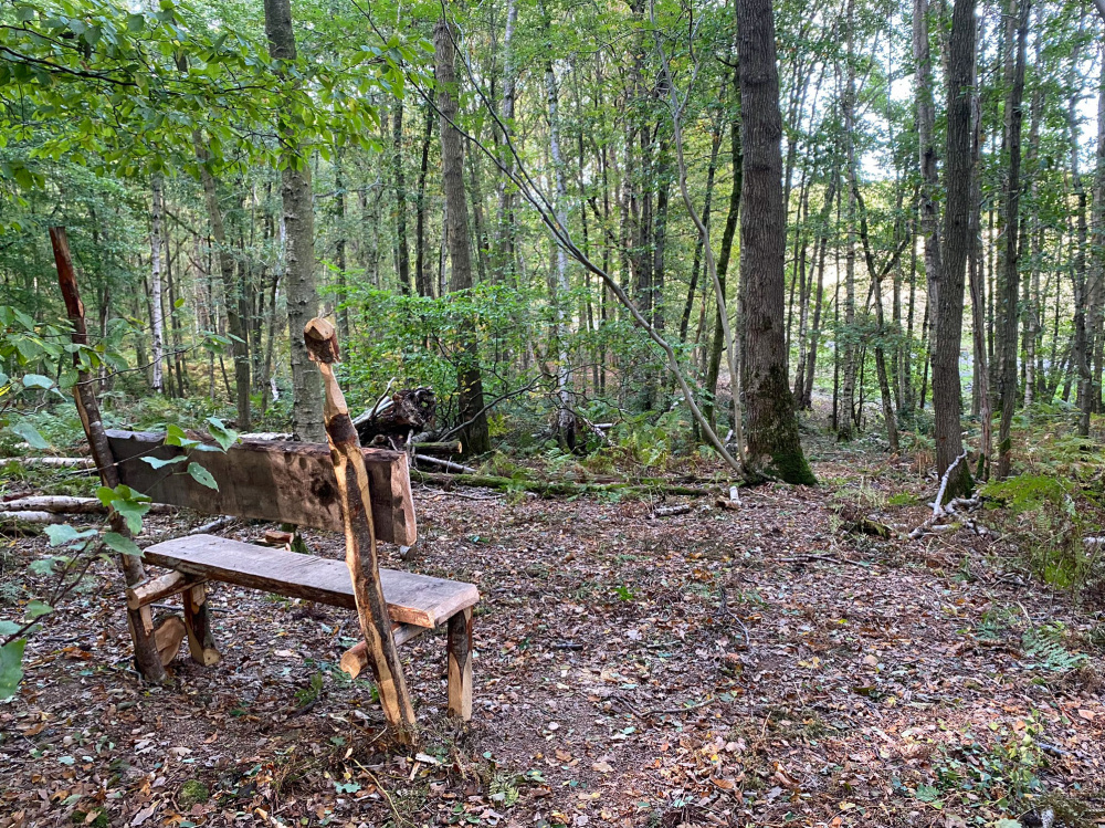 The rustic bench in Wingtip Wood
